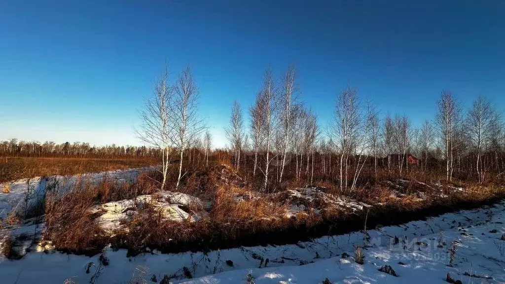 Участок в Тюменская область, Тюменский муниципальный округ, ... - Фото 1