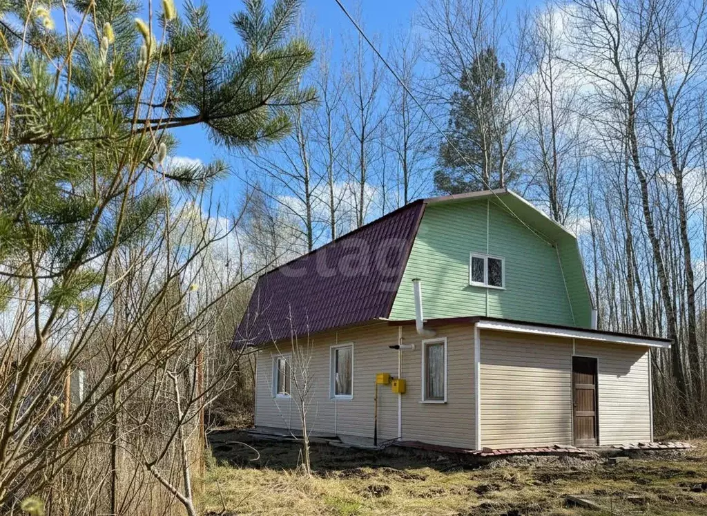 Дом в Псковская область, Псков пер. 6-й Шабаново, 8 (88 м) - Фото 1