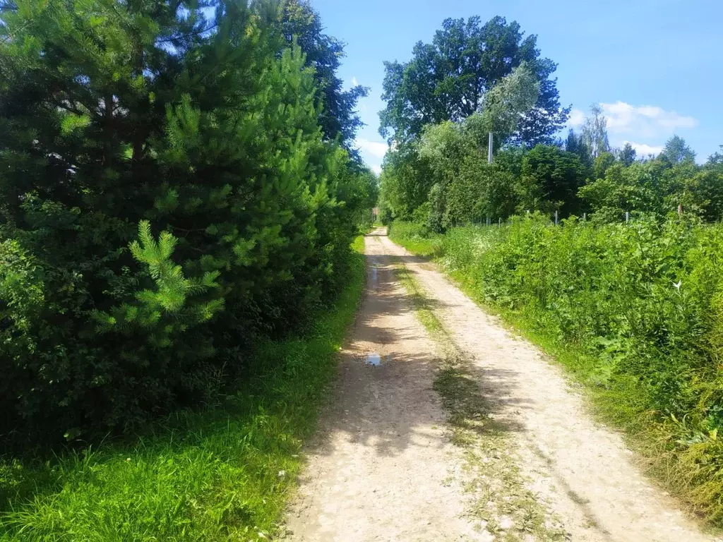Участок в Калужская область, Тарусский район, Вознесенье с/пос, д. ... - Фото 2