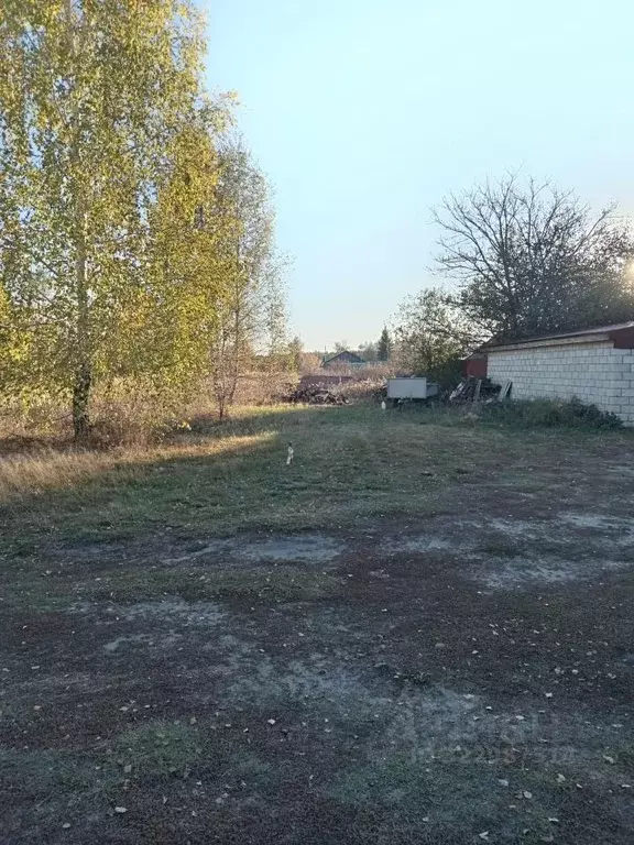 Участок в Самарская область, Сызранский район, с. Старая Рачейка ... - Фото 1