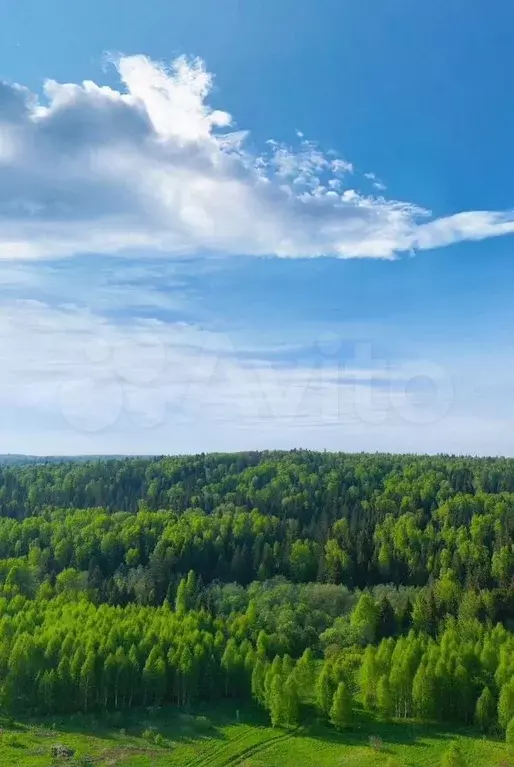 Дом 83 м на участке 5 сот. - Фото 1