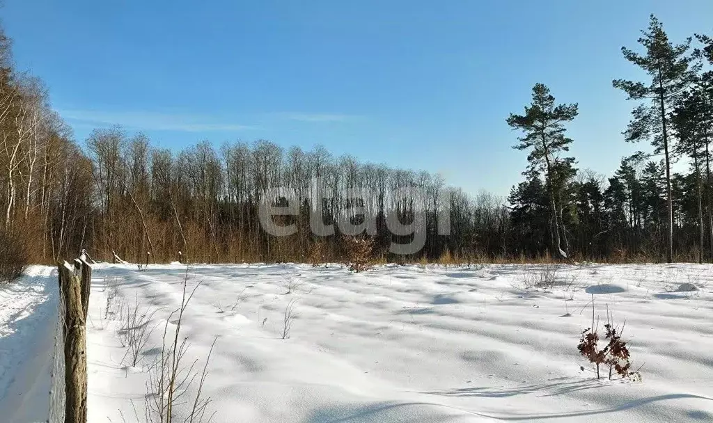 Участок в Брянская область, Брянский район, Новодарковичское с/пос, д. ... - Фото 2