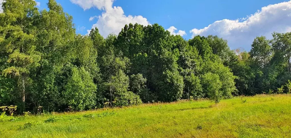 Участок в Московская область, Истра городской округ, д. Лечищево  ... - Фото 0