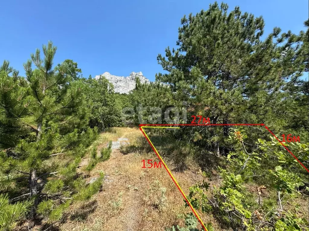 Участок в Крым, Ялта муниципальный округ, Кореиз пгт  (4.65 сот.) - Фото 1