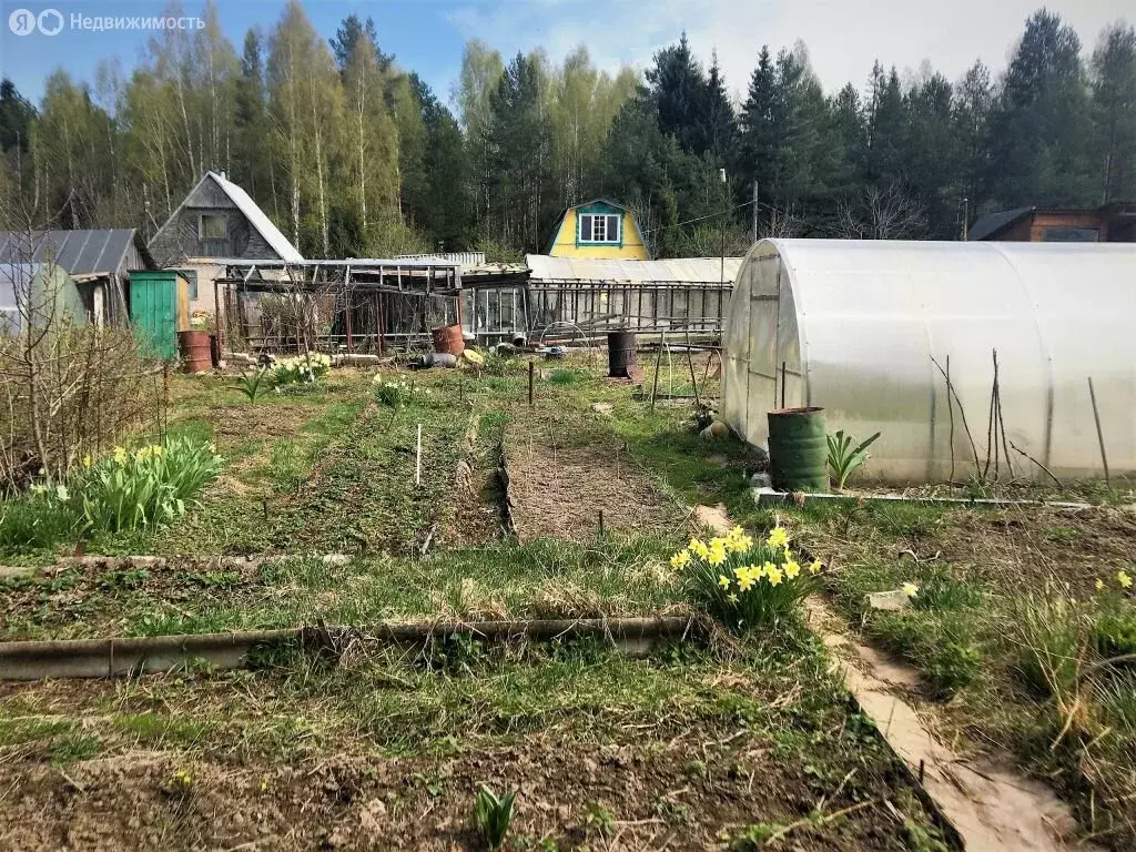 Дом в Костромской район, Кузьмищенское сельское поселение, СНТ Колос ... - Фото 0