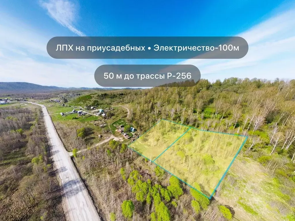 Участок в Алтай, Чойский район, с. Ускуч Лесная ул. (45.0 сот.) - Фото 1