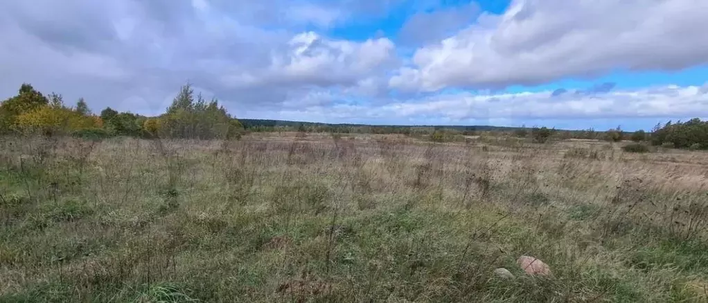 Участок в Псковская область, Печорский муниципальный округ, Лесицкое ... - Фото 2