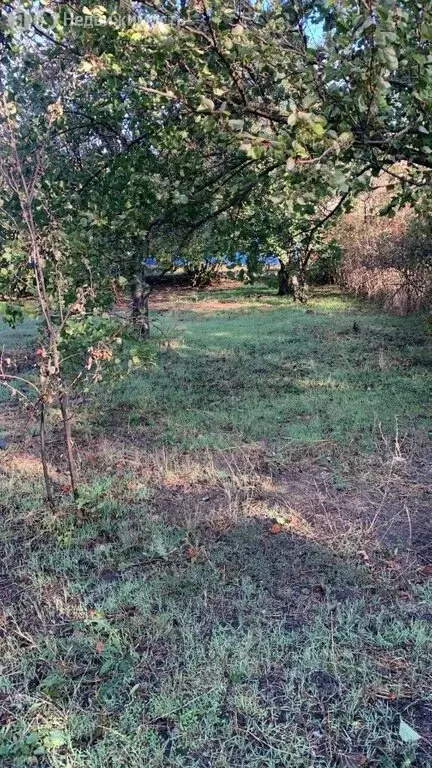 Участок в Батайск, дачный посёлок Дружба, Калиновая улица (4.3 м) - Фото 1