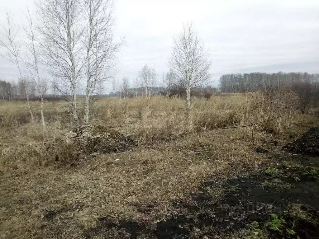 Участок в Омская область, с. Азово ул. Циолковского, 4 (10.4 сот.) - Фото 0