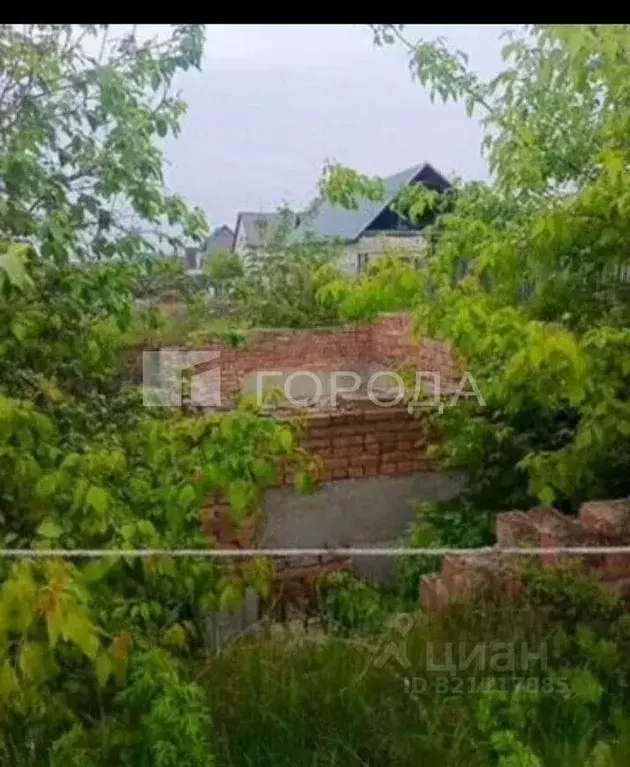 Участок в Алтайский край, Барнаул городской округ, с. Власиха, ... - Фото 0