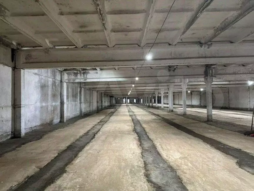 Помещение свободного назначения в Московская область, Истра ... - Фото 1