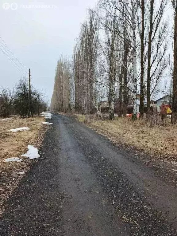 Участок в Воронеж, СНТ Иволга, 477 (6.3 м) - Фото 1