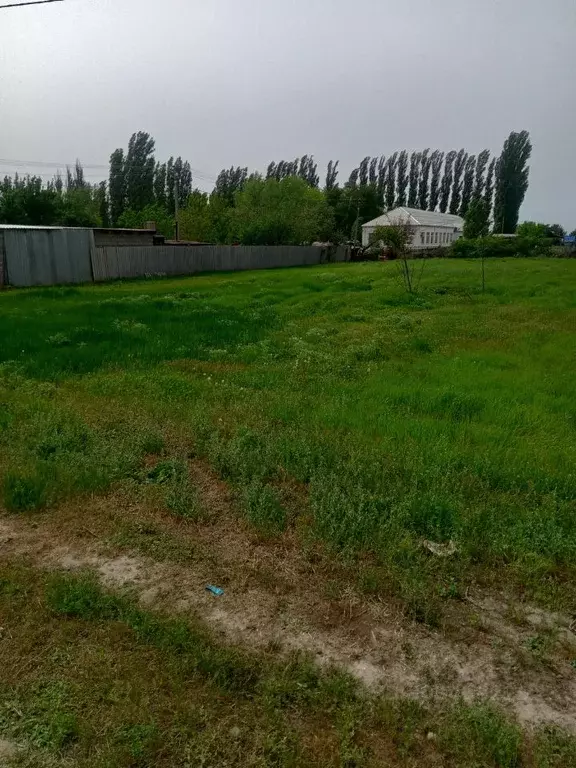 Участок в Волгоградская область, Среднеахтубинский район, Куйбышевское ... - Фото 1