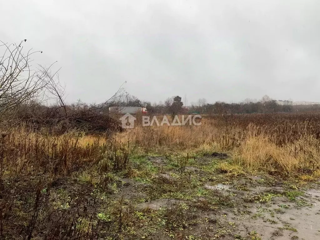 Участок в Калининградская область, Гурьевский муниципальный округ, ... - Фото 0