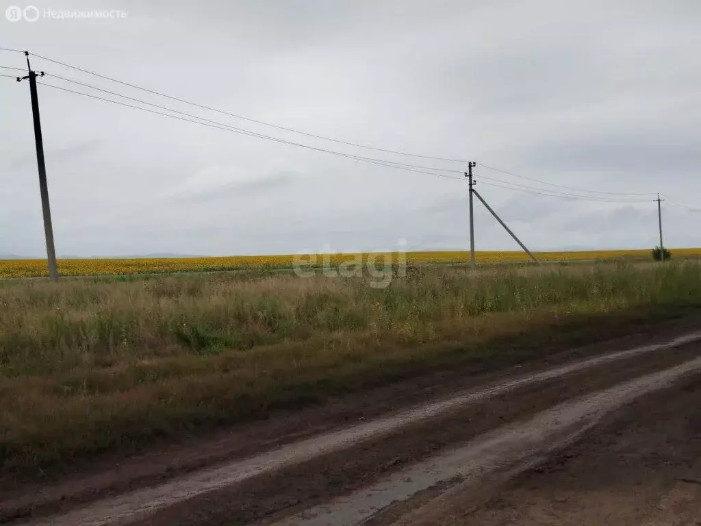 Участок в Челябинская область, Уйский муниципальный округ, село ... - Фото 1