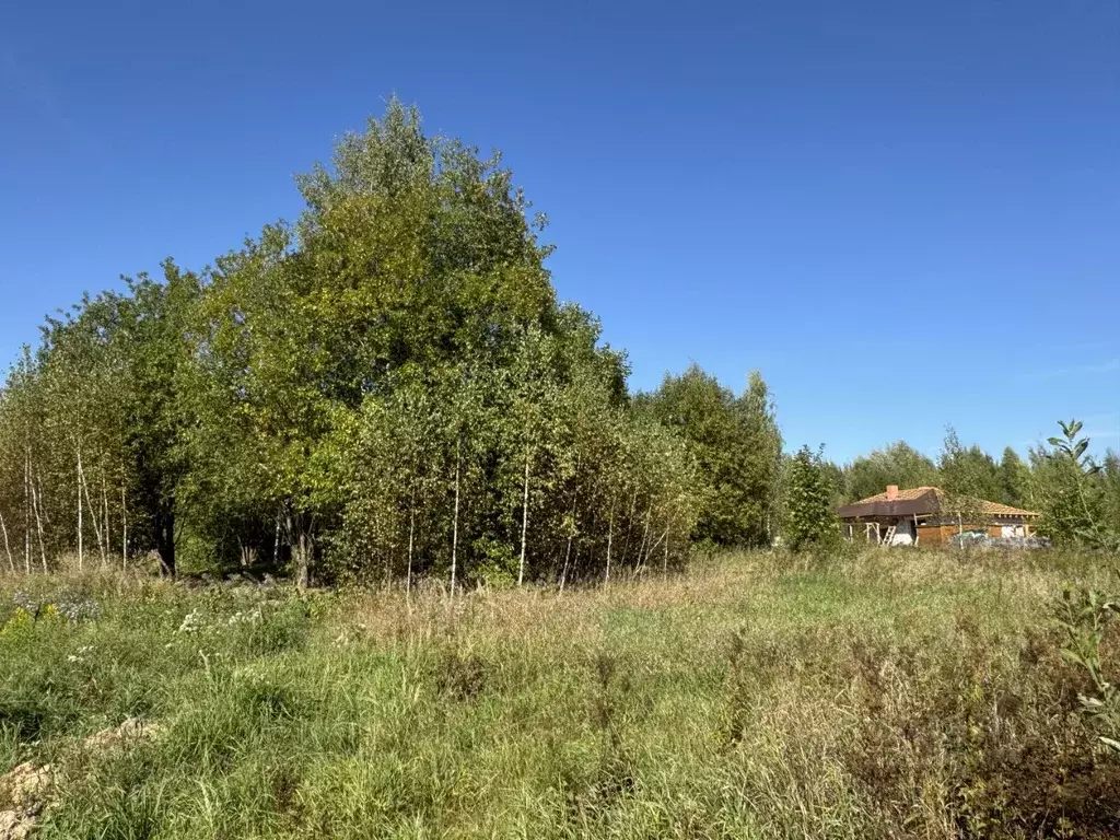 Участок в Московская область, Пушкинский городской округ, Софрино пгт ... - Фото 1