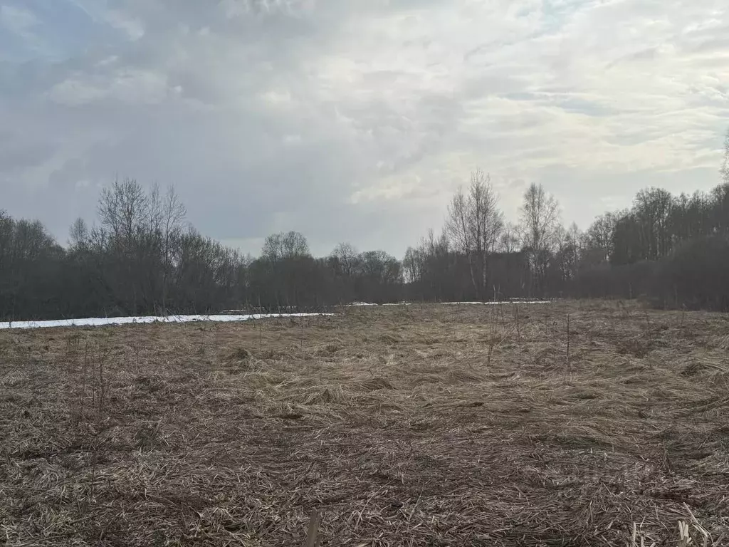 Участок в Московская область, Можайский муниципальный округ, д. ... - Фото 2