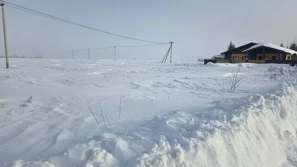 Участок в Московская область, Домодедово городской округ, д. Ляхово  ... - Фото 2