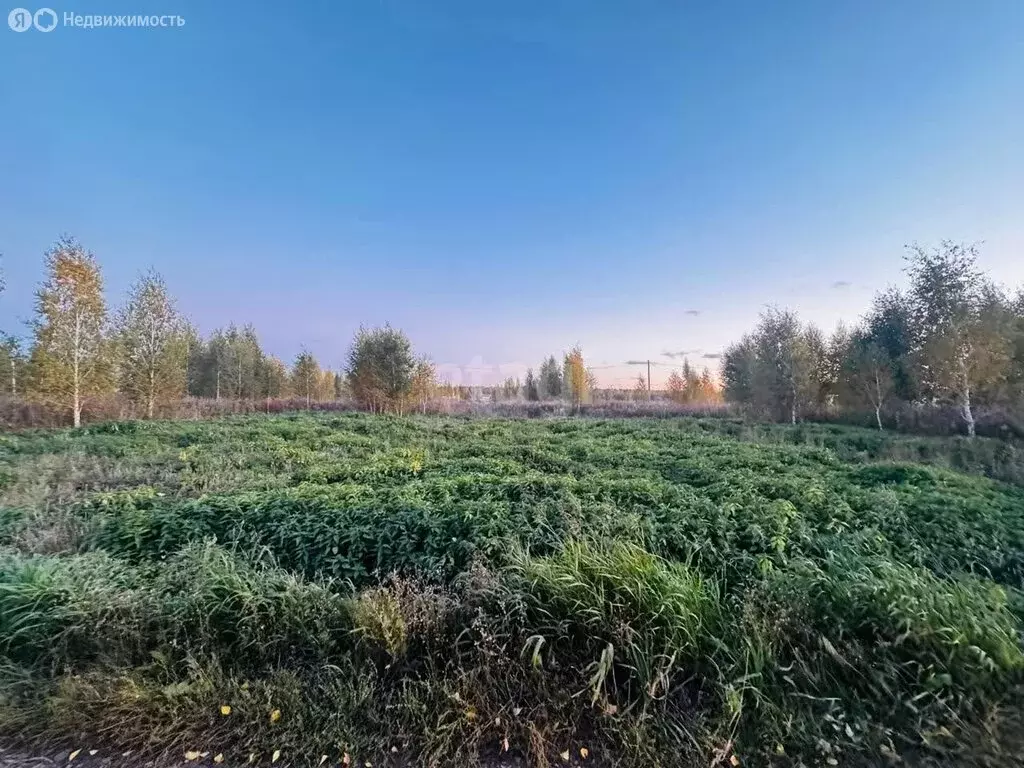 Участок в Омский район, Магистральное сельское поселение, деревня ... - Фото 0