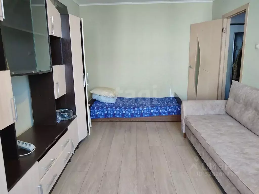 1-к кв. Московская область, Серпухов городской округ, д. ... - Фото 2