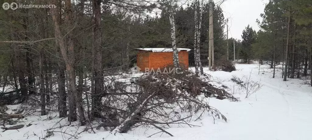 Участок в Владимирская область, муниципальное образование Петушинское, ... - Фото 1