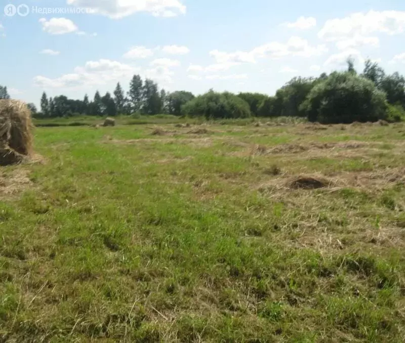 Участок в Воронежская область, село Новая Усмань (12 м) - Фото 0