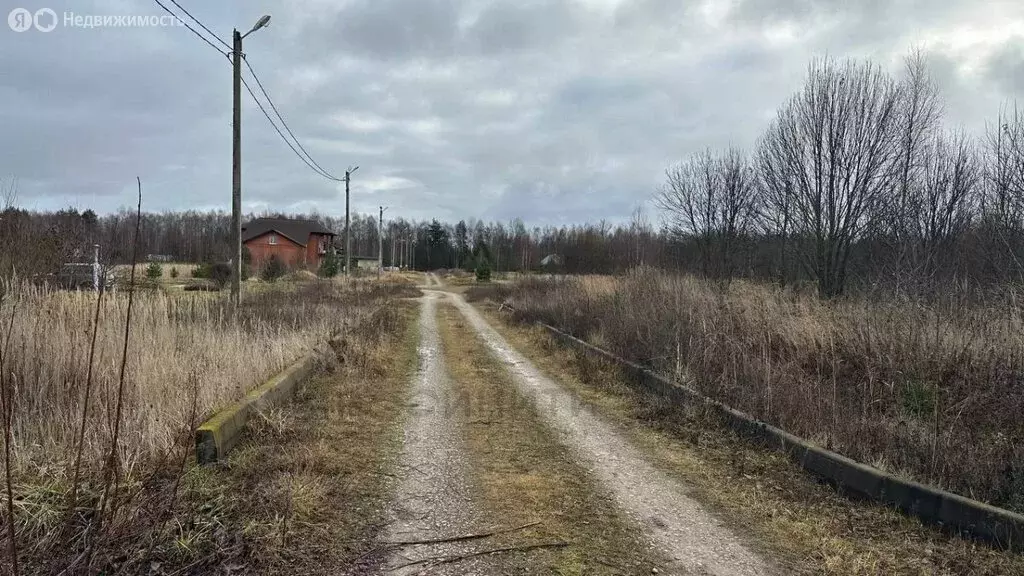 Участок в Калужская область, Козельский муниципальный округ, сельское ... - Фото 1