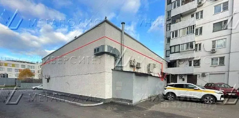 Торговая площадь в Москва ул. Советской Армии, 7 (260 м) - Фото 2
