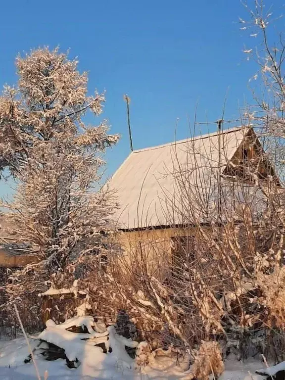 Свободной планировки кв. Камчатский край, Елизово Пограничный мкр, ул. ... - Фото 2