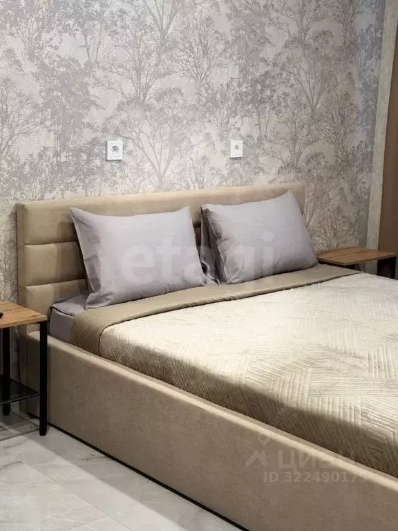 Студия Адыгея, Майкоп ул. К.А. Васильева, 2к2 (19.7 м) - Фото 1