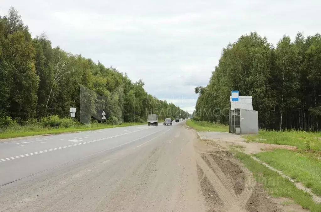 Участок в Тюменская область, Нижнетавдинский муниципальный округ, ... - Фото 1