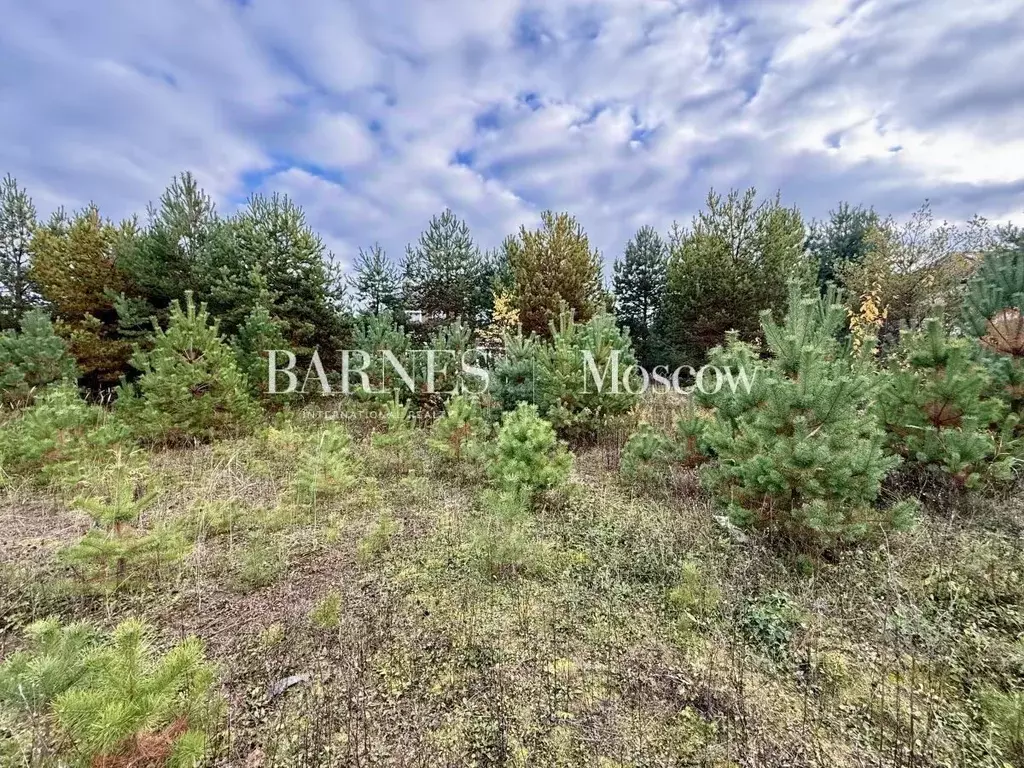 Участок в Московская область, Истра муниципальный округ, д. Чесноково, ... - Фото 1