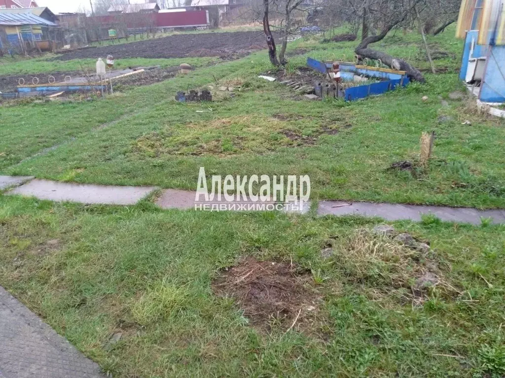 Участок в Ленинградская область, Волхов Труженик СНТ, ул. Боровинка ... - Фото 1