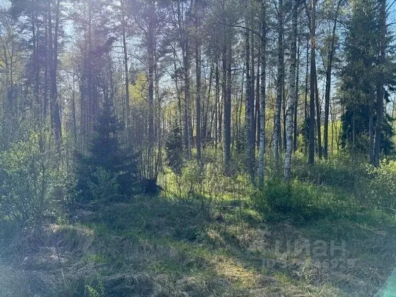 Участок в Ленинградская область, Выборгский район, Полянское с/пос, ... - Фото 0