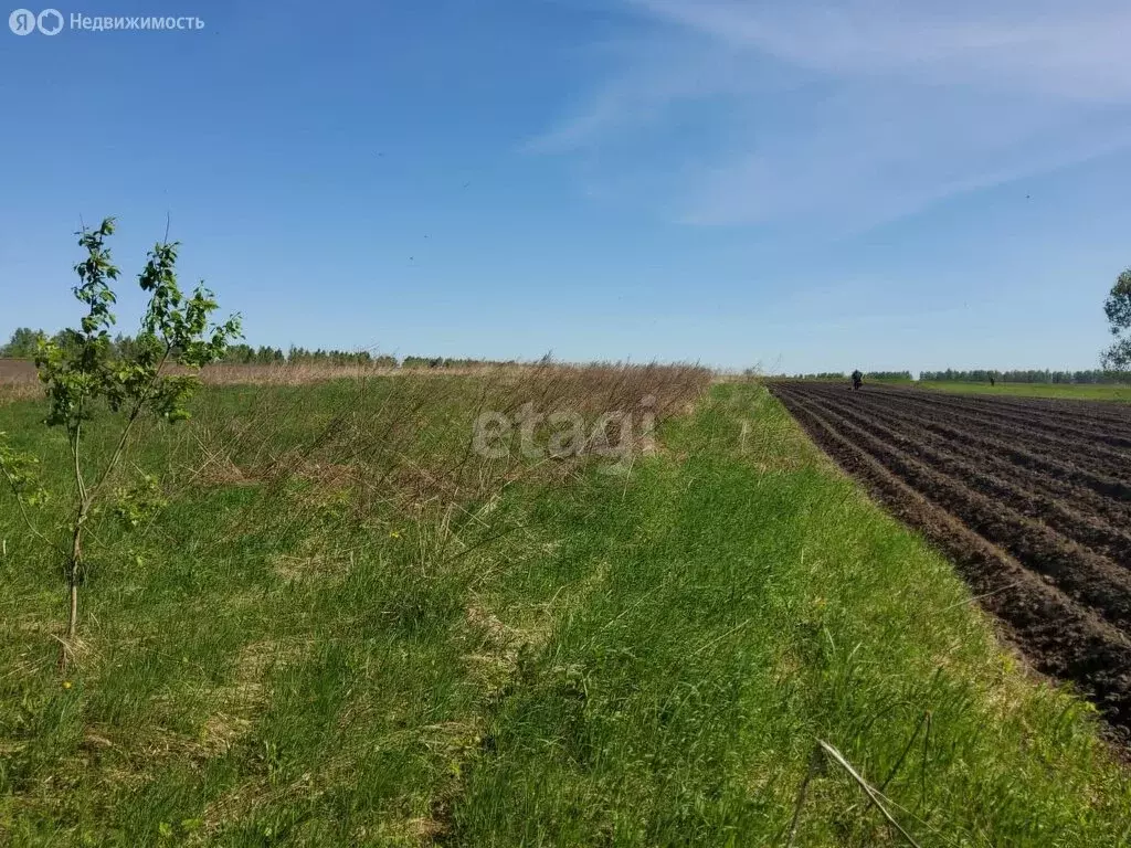 Участок в село Выгоничи, Верхняя улица (30 м) - Фото 1