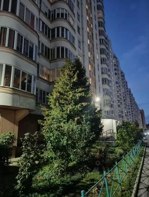 2-к кв. Курская область, Курск просп. Победы, 34 (54.0 м) - Фото 1