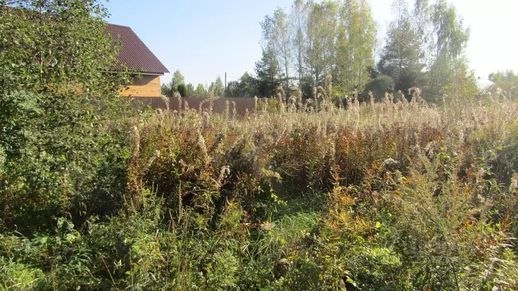 Участок в Московская область, Рузский муниципальный округ, д. Алексино ... - Фото 1