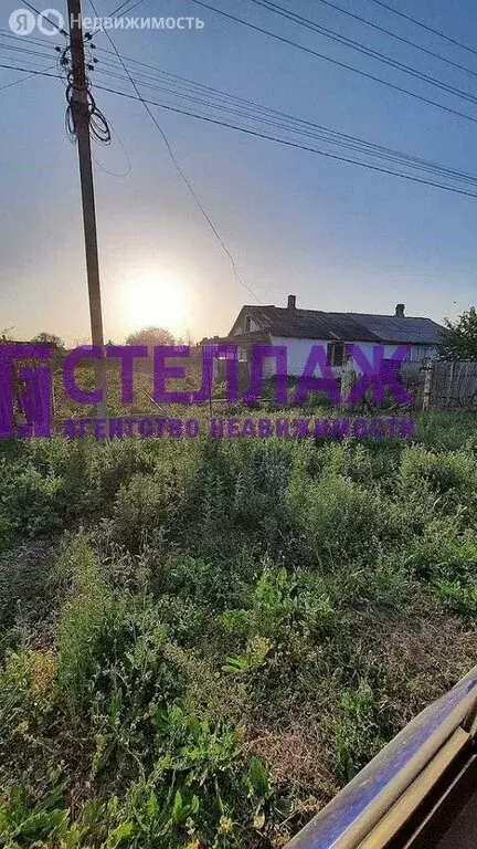 Дом в Чапаевское сельское поселение, село Новый Мир (45 м) - Фото 0