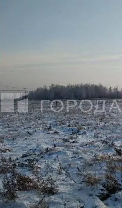 Участок в Новосибирская область, Новосибирский район, Криводановский ... - Фото 0