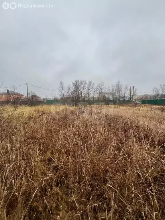 Участок в Новая Усмань, Октябрьская улица, 1 (15.01 м) - Фото 2