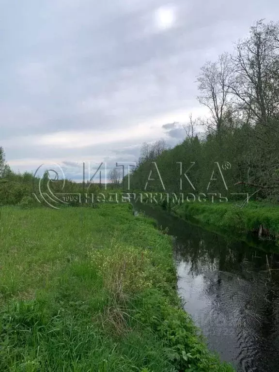 Участок в Ленинградская область, Волховский район, Кисельнинское ... - Фото 1