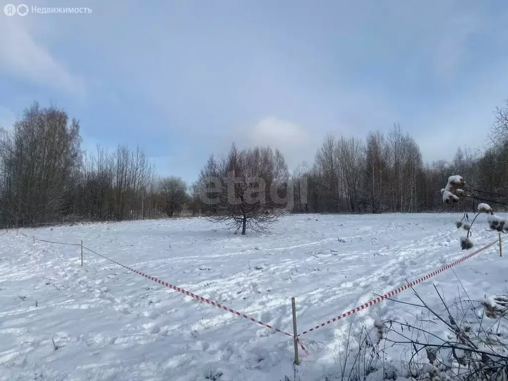 Участок в Ярославский муниципальный округ, деревня Худково (27 м) - Фото 1