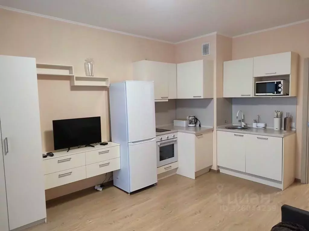 Студия Санкт-Петербург 5-й Предпортовый проезд, 2 (28.0 м) - Фото 1