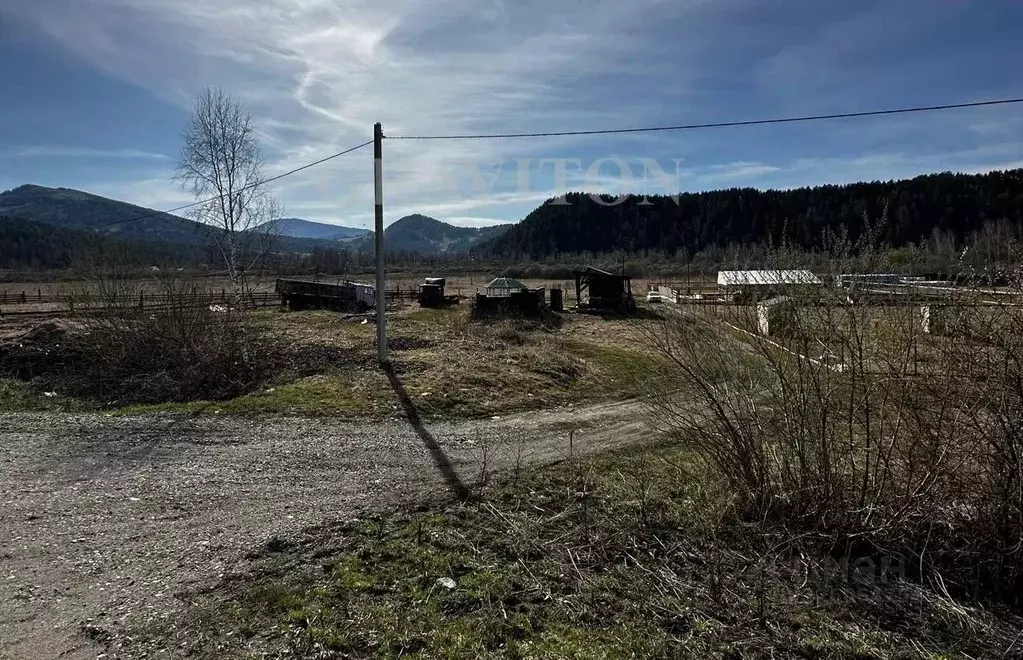 Участок в Алтай, Майминский район, с. Кызыл-Озек ул. Радужная, 26 ... - Фото 1