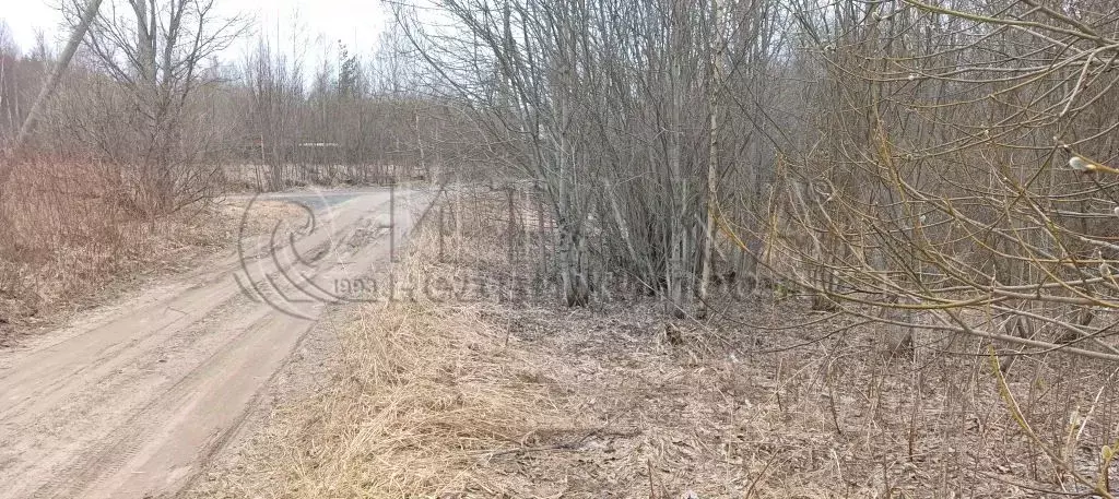 Участок в Ленинградская область, Лодейнопольское городское поселение, ... - Фото 1