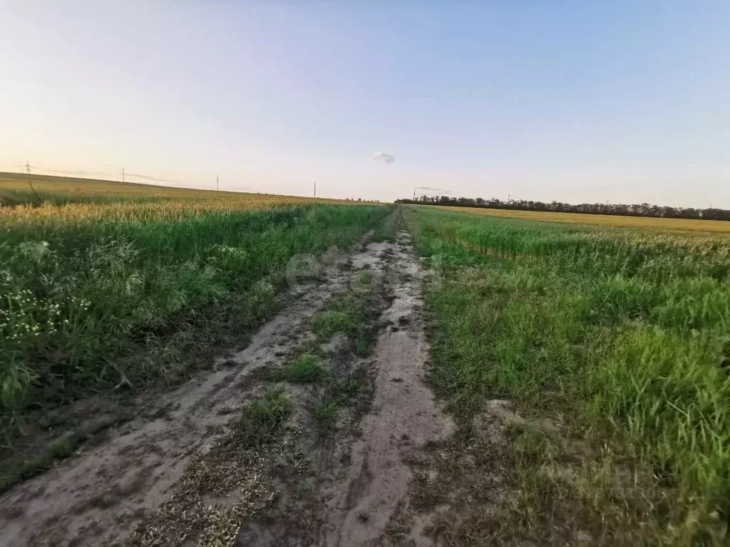 Участок в Краснодарский край, Темрюк Радуга СОТ,  (8.0 сот.) - Фото 0