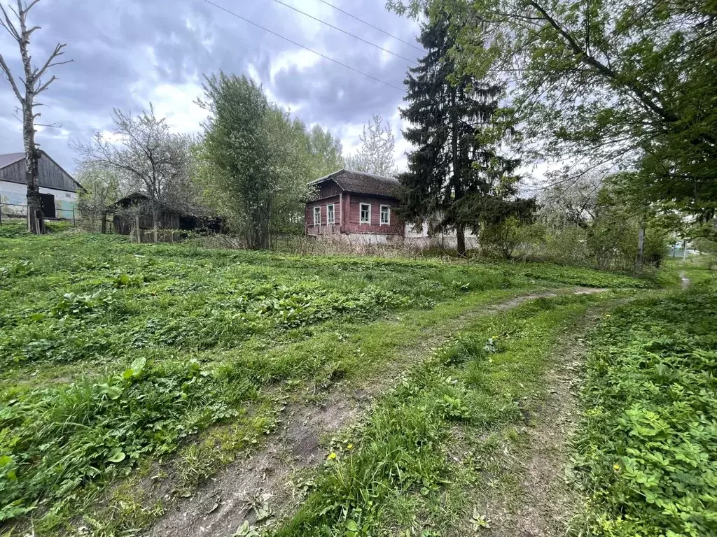 Дом в Смоленская область, Рославль Пригородная ул., 5 (80 м) - Фото 1
