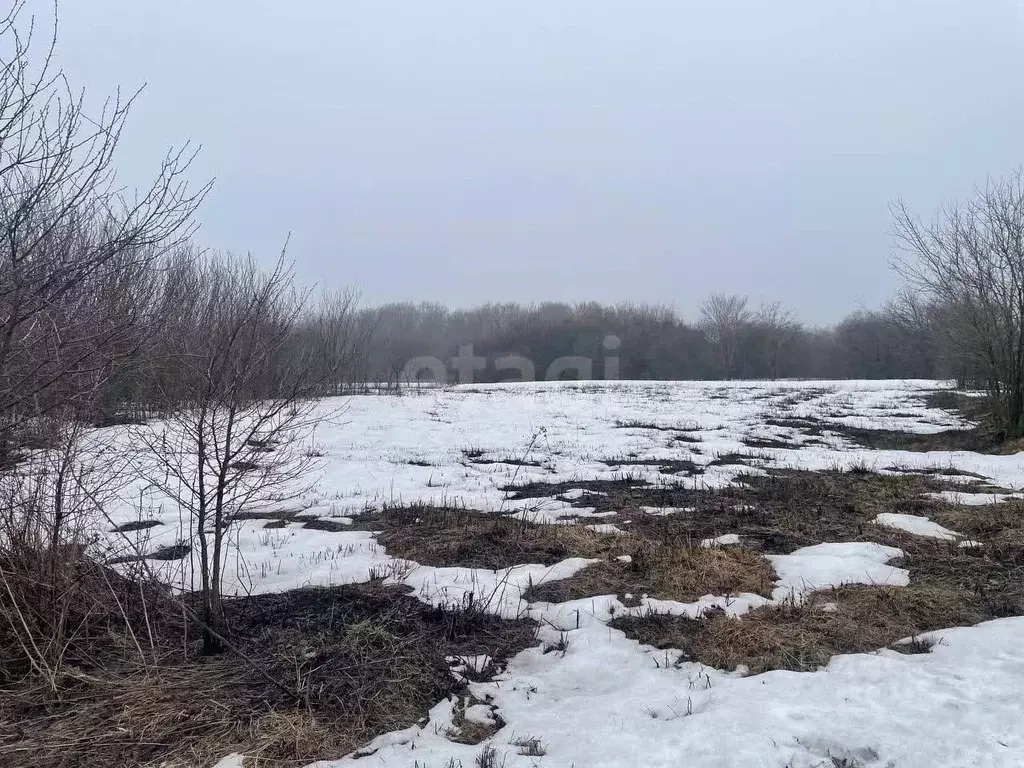 Участок в Белгородская область, Губкинский городской округ, Дубравка ... - Фото 1