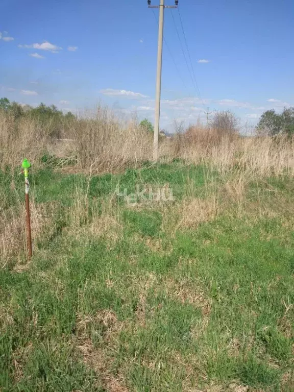 Участок в Нижегородская область, Семеновский городской округ, д. ... - Фото 1