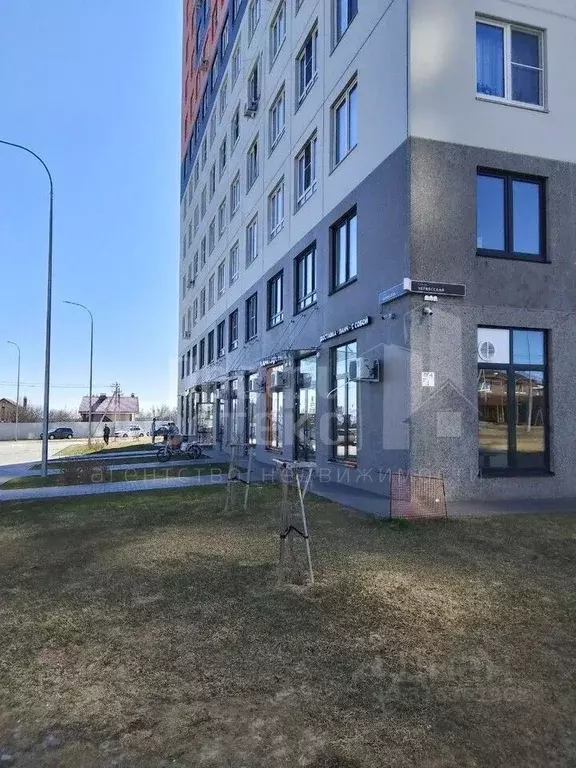 1-к кв. Нижегородская область, Нижний Новгород д. Анкудиновка, ул. ... - Фото 1